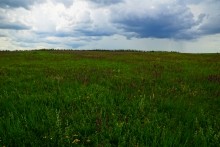 Верхнесазонов, исчезнувший хутор, долина камней, развалины исчезнувшего хутора Верхнесазонов