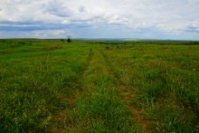 Верхнесазонов, исчезнувший хутор, долина камней, развалины исчезнувшего хутора Верхнесазонов