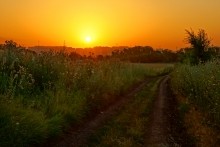 Дорога в травах на закате, на дальние выселки к микрорайону Суворовский.