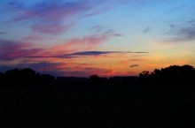 Дорога в травах на закате, на дальние выселки к микрорайону Суворовский.