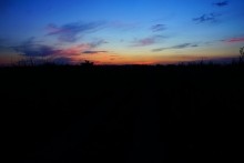 Дорога в травах на закате, на дальние выселки к микрорайону Суворовский.