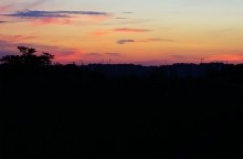 Дорога в травах на закате, на дальние выселки к микрорайону Суворовский.