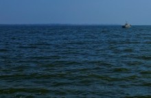 Хутор Рожок на азовском море рядом с которым обнаружены поселения людей каменного века