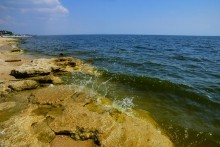 Хутор Рожок на азовском море рядом с которым обнаружены поселения людей каменного века