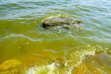 Хутор Рожок на азовском море рядом с которым обнаружены поселения людей каменного века