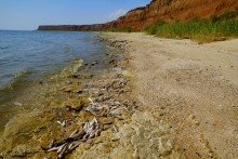 Хутор Рожок на азовском море рядом с которым обнаружены поселения людей каменного века. Замор бычка в азовском море