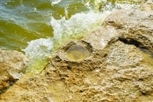 Хутор Рожок на азовском море рядом с которым обнаружены поселения людей каменного века.