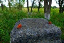 Путешествие по рекам Быстрой и Березовой, по местам связанным с биографией Митрофана Борисовича Грекова