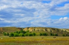 Путешествие по рекам Быстрой и Березовой, по местам связанным с биографией Митрофана Борисовича Грекова