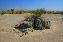 Огромное количество сетей валяется по берегам Азовского моря.
