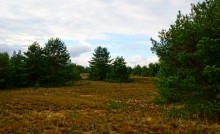 Станица Еланская. Дон и живописные окрестности.