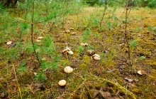 Станица Еланская. Дон и живописные окрестности.