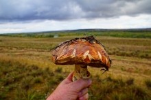 Станица Еланская. Дон и живописные окрестности.