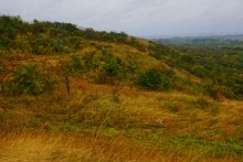 Осень в Золотых горках - удивительном памятнике природы Ростовской области. 