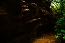 Осень в Золотых горках - удивительном памятнике природы ростовской области. 