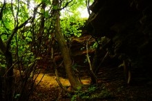 Осень в Золотых горках - удивительном памятнике природы ростовской области. 