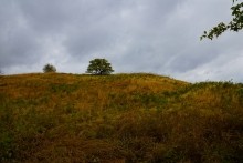 Осень в Золотых горках - удивительном памятнике природы ростовской области. 