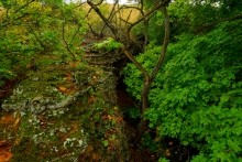 Осень в Золотых горках - удивительном памятнике природы ростовской области. 