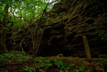 Осень в Золотых горках - удивительном памятнике природы ростовской области. 