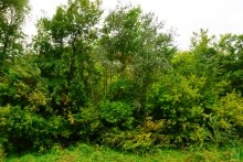 Мигулинский пещерный храм в меловых горах на берегу Дона