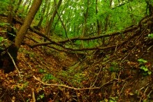 Мигулинский пещерный храм в меловых горах на берегу Дона