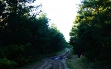 В лесах вокруг хутора Топилин