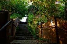 Александр I, последнее путешествие в Таганрог. Дворец императора в Таганроге.