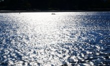 Ветреный осенний день на Дону 