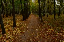 Осенью в саду