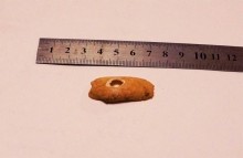 Остров Поречный на Дону у станицы Раздорской. Здесь находится одно из самых известных поселений людей каменного века на нижнем Дону. Раковина из ожерелья красавицы каменного века.