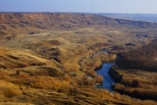 Леса на песках в устье реки Сал