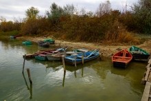 Леса на песках в устье реки Сал
