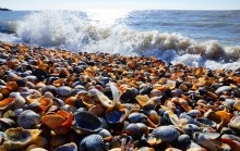 Должанская коса - памятник природы и украшение Меотиды.