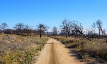 Должанская коса - памятник природы и украшение Меотиды.