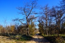 Должанская коса - памятник природы и украшение Меотиды.