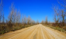 Должанская коса - памятник природы и украшение Меотиды.