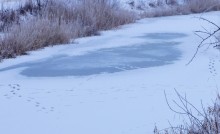 Тузлов в декабре