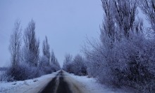 Тузлов в декабре