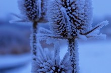 Тузлов в декабре