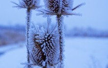 Тузлов в декабре