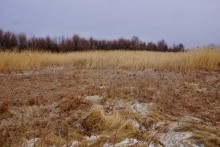 Операция Дон, Операция Гроссталинград, Рейд Егорова, поселок Истомино