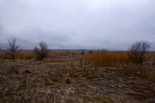 Операция Дон, Операция Гроссталинград, Рейд Егорова, поселок Истомино