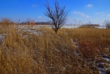 Дон, турецкие каланчи под Азовом. Шахи, Султанийе.