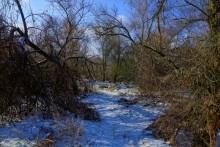 Дон, турецкие каланчи под Азовом. Шахи, Султанийе.