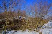 Дон, турецкие каланчи под Азовом. Шахи, Султанийе.