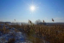 Дон, турецкие каланчи под Азовом. Шахи, Султанийе.