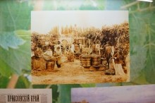 Экспозиция виноделия в Азовском краеведческом музее. Вина советской эпохи. Виноделие на Дону