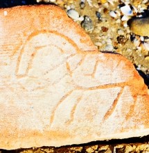 Выставка "Кирпичный вопрос" в Азовском историко-археологическом и палеонтологическом музее-заповеднике.  Всадник на кирпиче, Чумбур-коса.