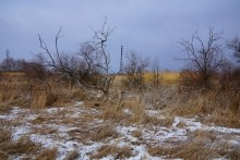 Турецкая каланча Султанийе. Дон у Елизаветинской и хутора Коса. В камышах