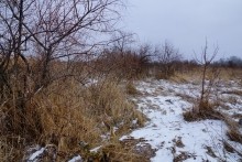 Турецкая каланча Султанийе. Дон у Елизаветинской и хутора Коса. В камышах